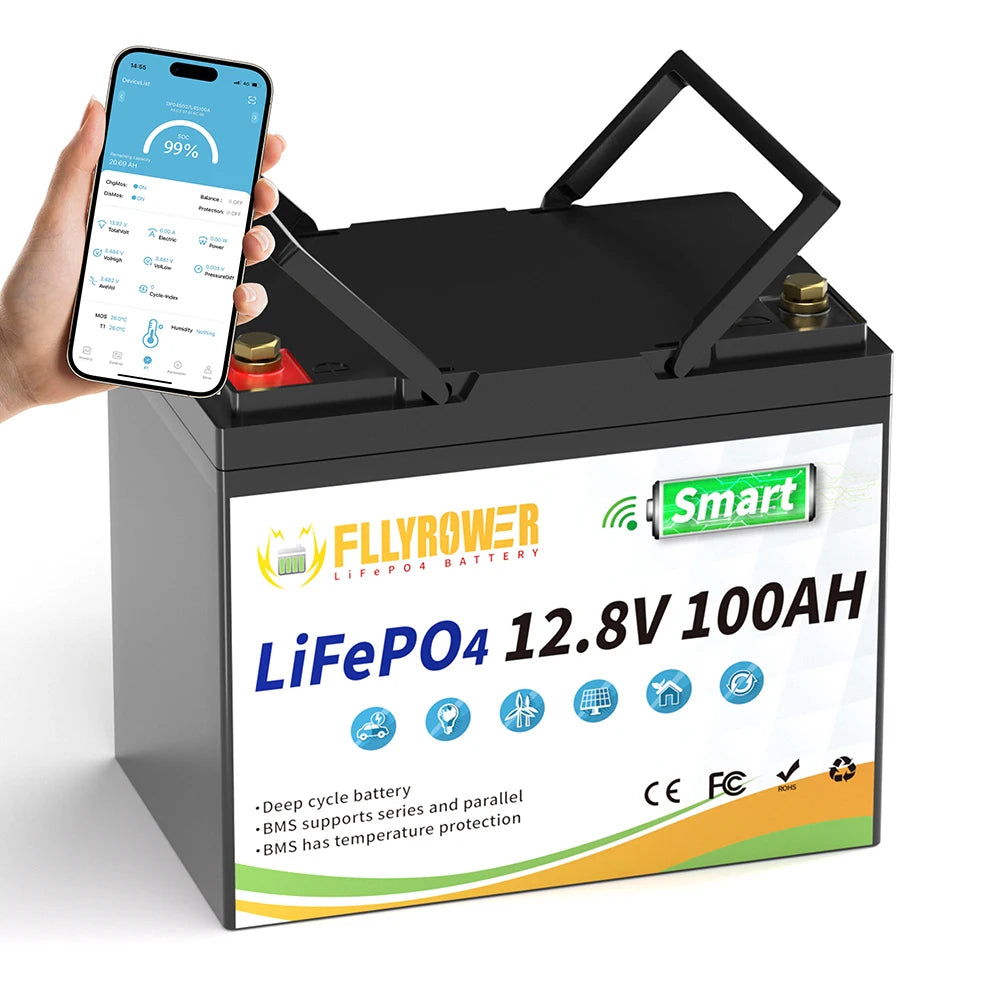 Fly Power LiFePO4 12V Battery Pack 100Ah 300Ah for RVs
