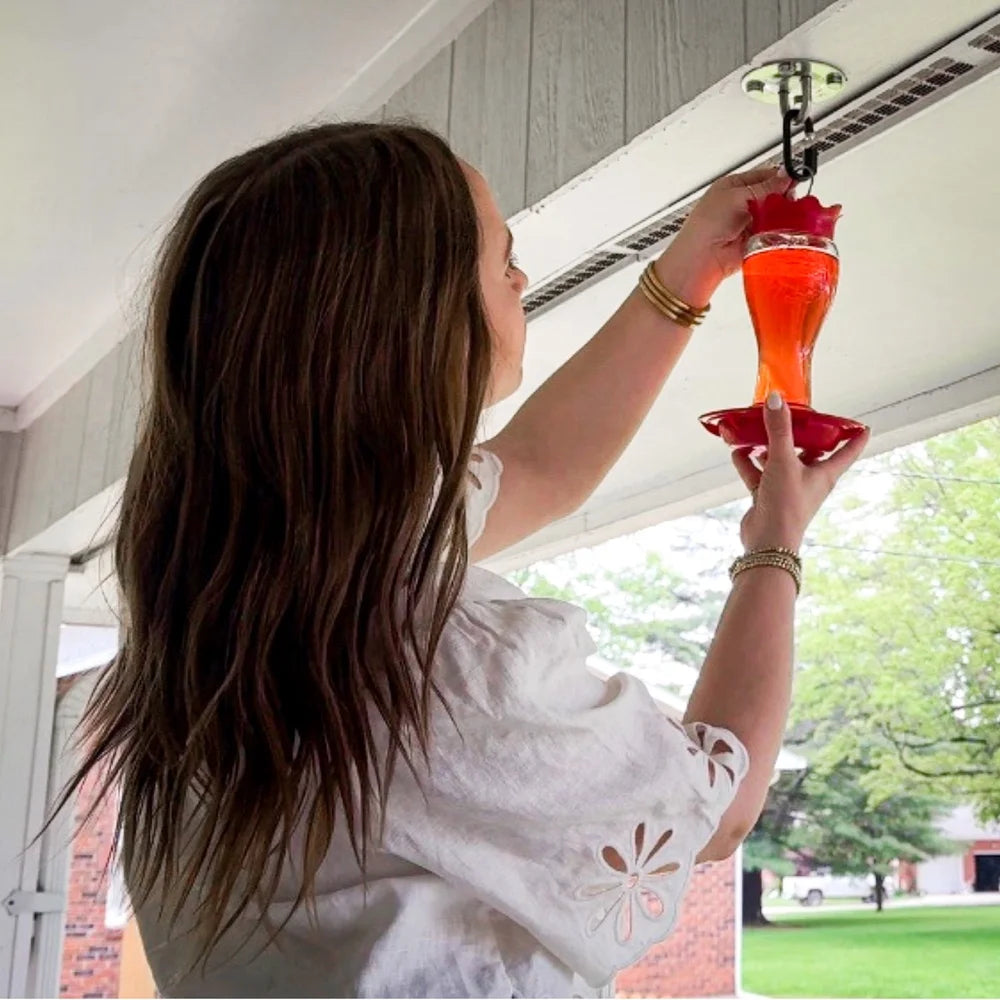 Glass Hummingbird Feeder With Bee Resistant Ports And Ant Moat