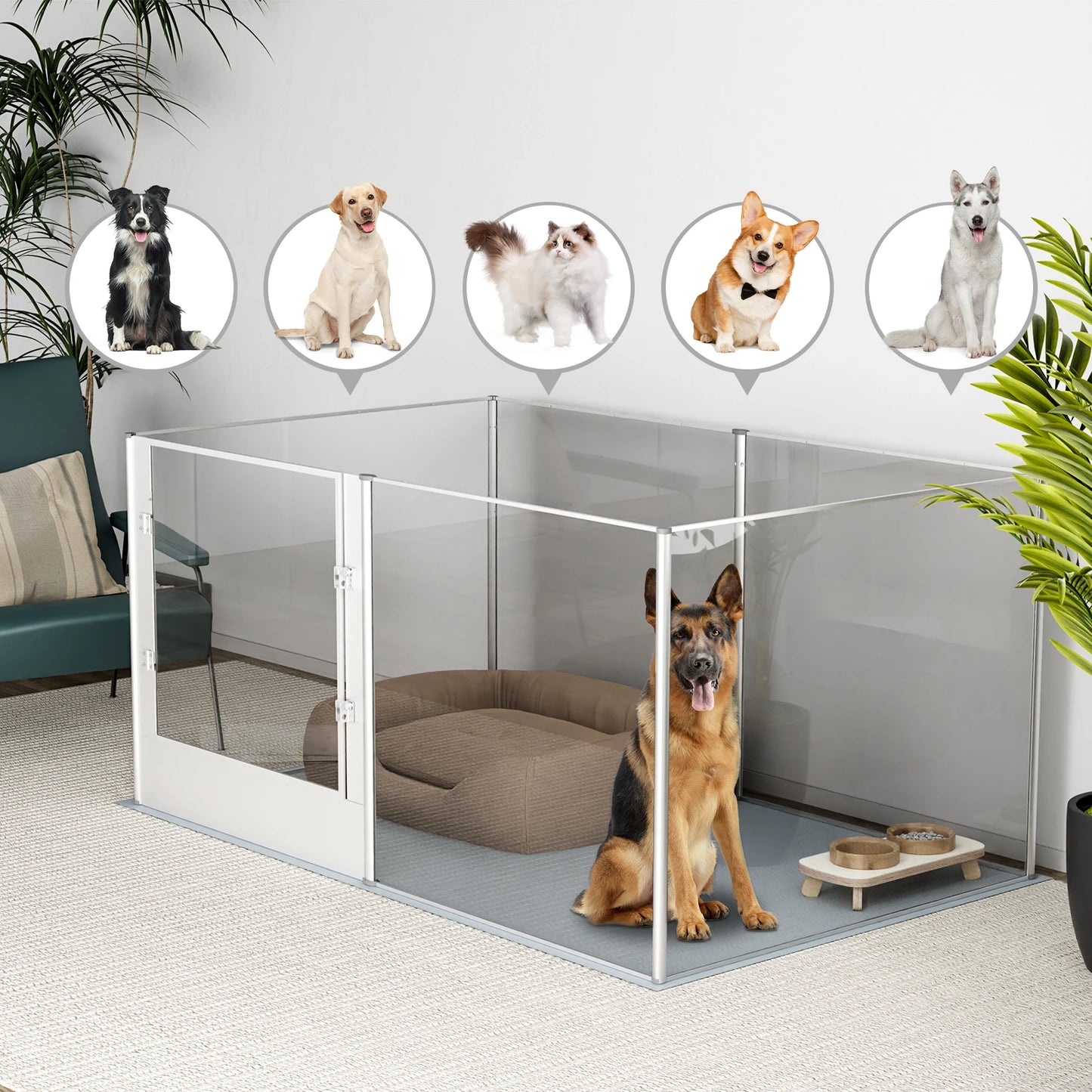 BINGOPAW Acrylic Dog Playpen Fence for Cats and Puppies
