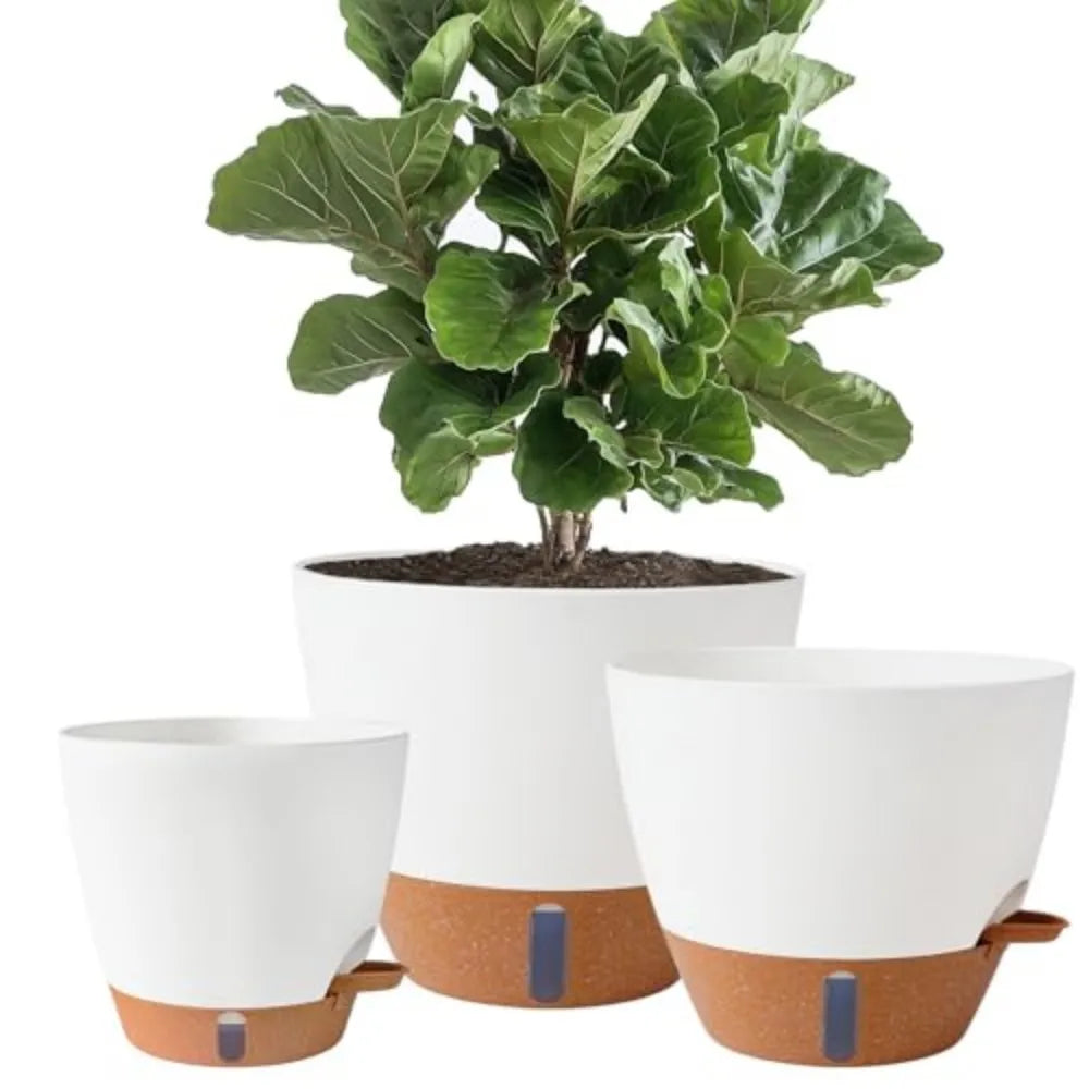 Indoor Outdoor Self Watering Pots with Water Level Indicator