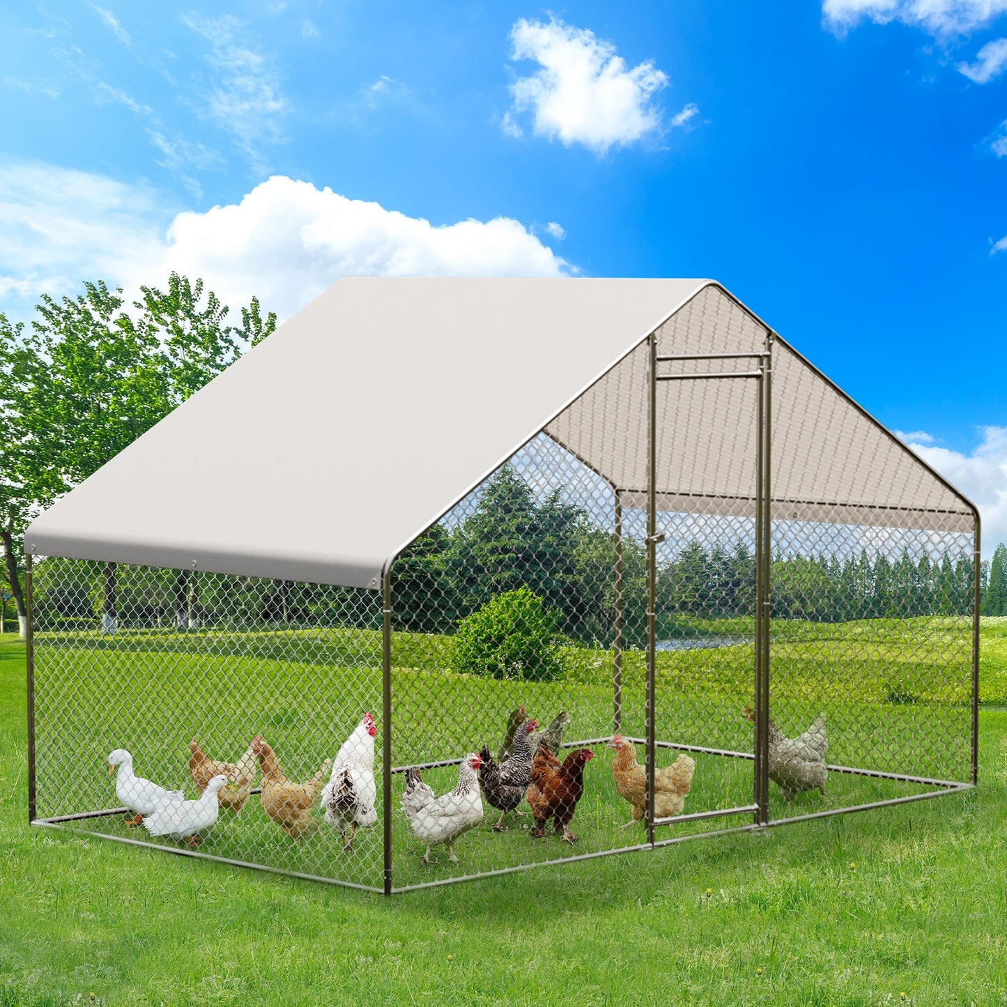 HiMISS Heavy Duty Metal Chicken Coop Walk-In Poultry Cage