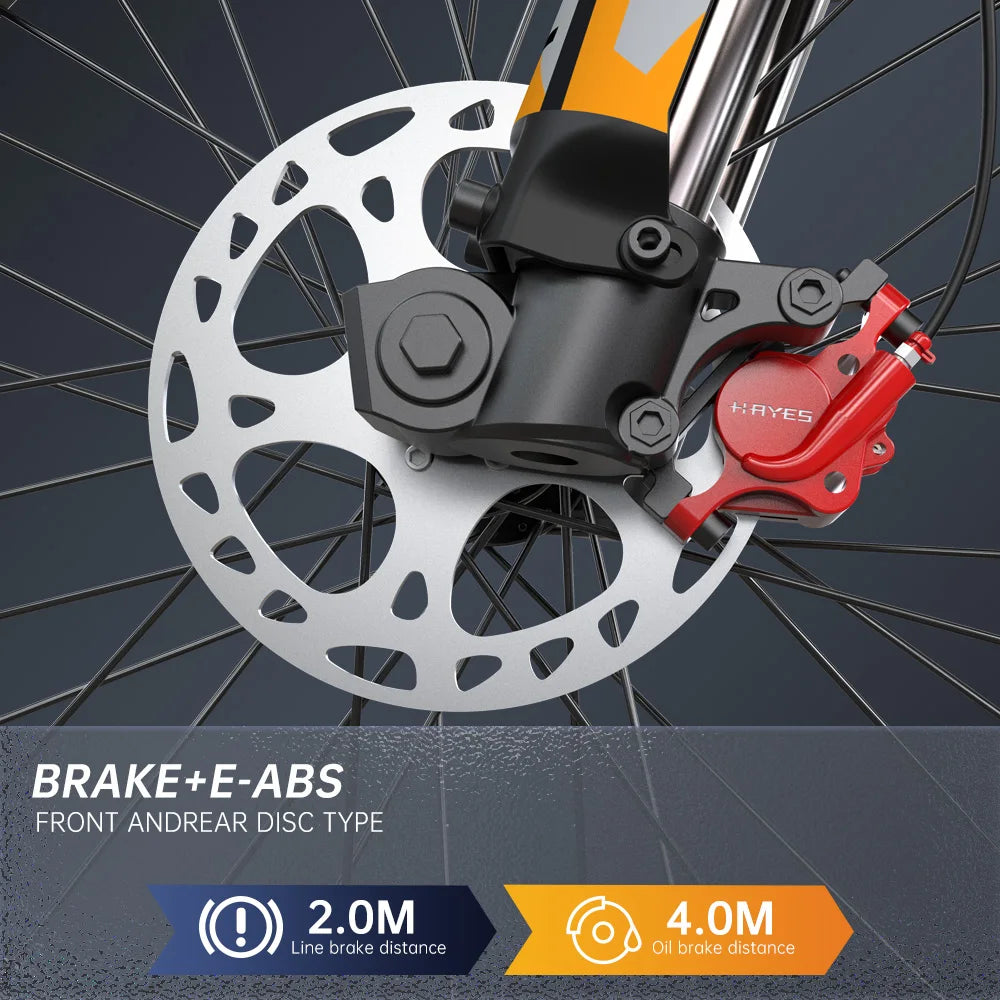 E6PK 2900W Dual Battery Electric Mountain Bike For Adults