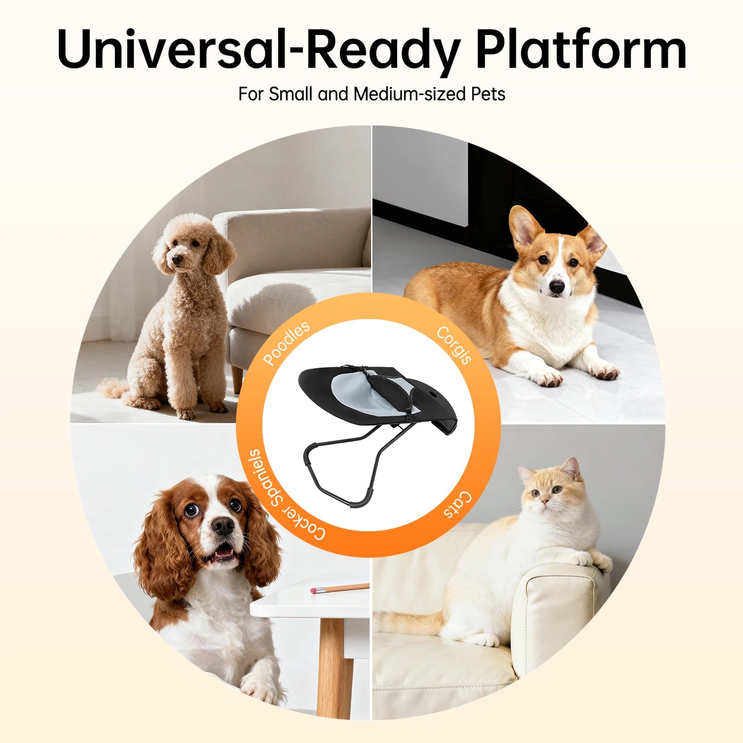 Foldable Pet Rocking Chair for Small Dogs and Cats