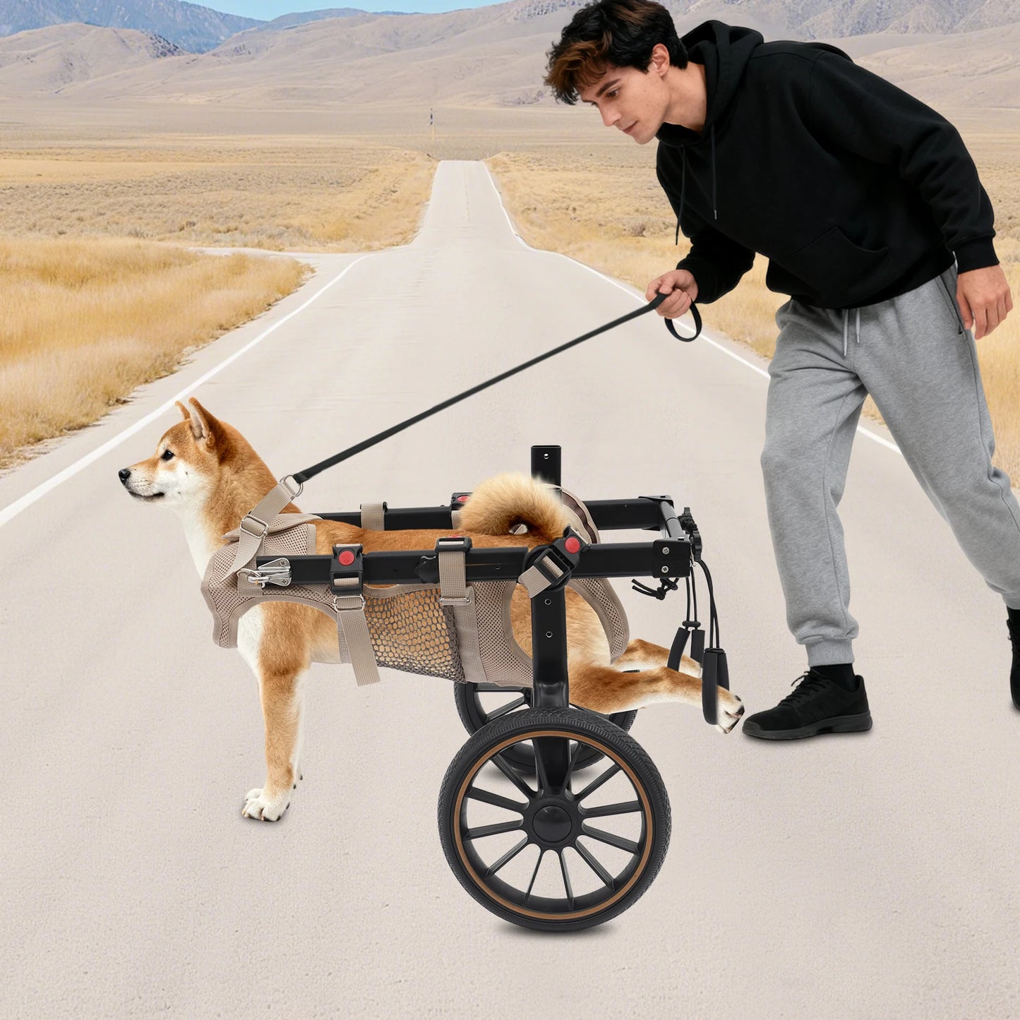 Bymaocar Adjustable Aluminum Dog Wheelchair For Hind Leg Support 65kg