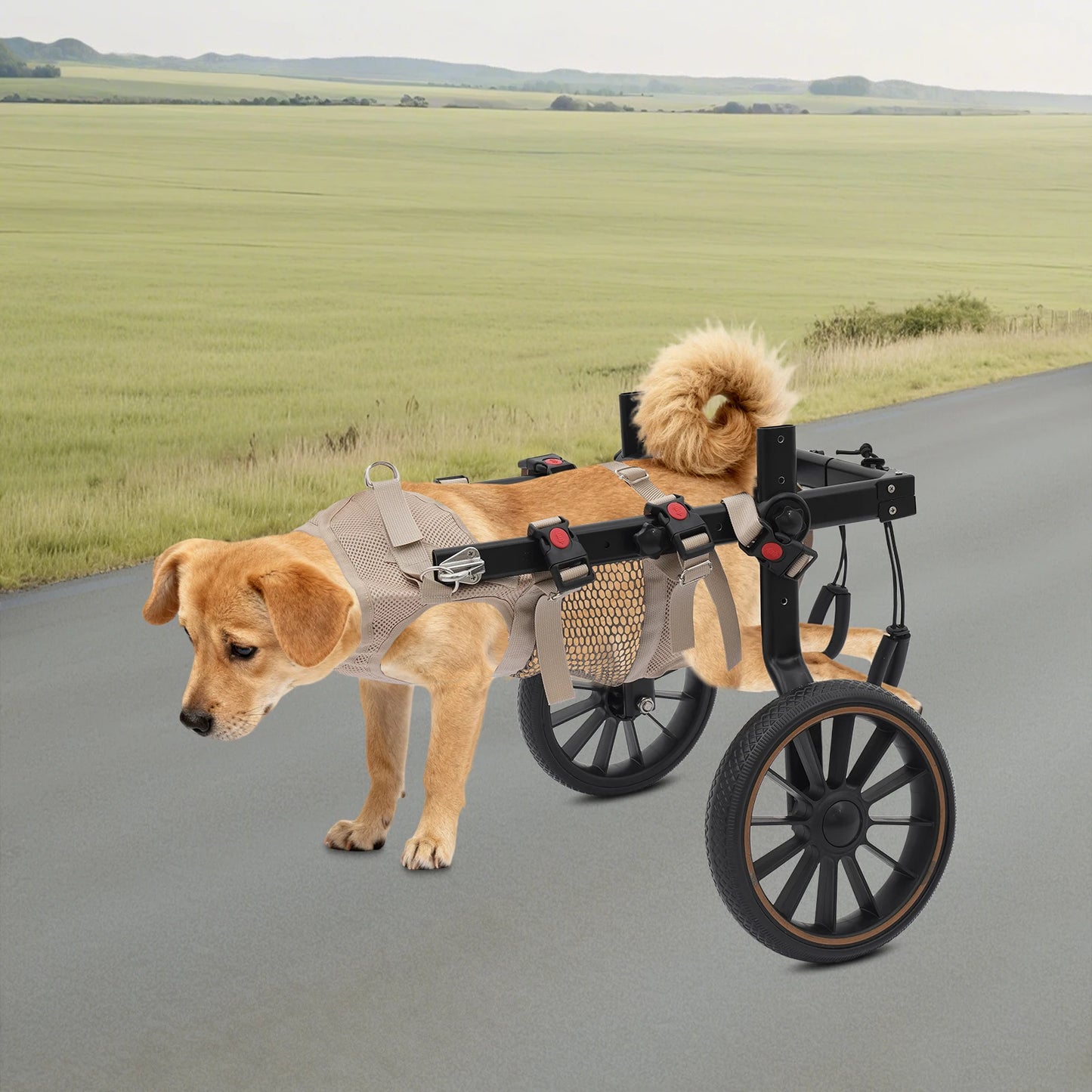 Bymaocar Adjustable Aluminum Dog Wheelchair For Hind Leg Support 65kg