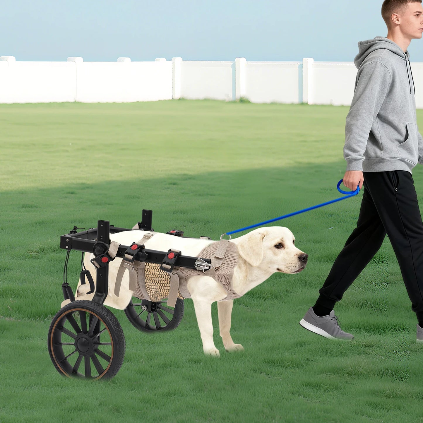Bymaocar Adjustable Aluminum Dog Wheelchair For Hind Leg Support 65kg