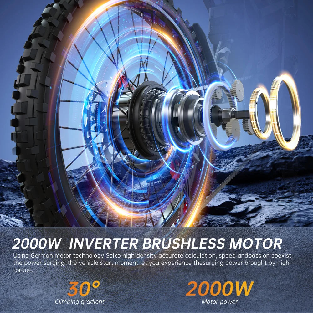 Electric Mountain Bike With Dual Battery 2900W Peak