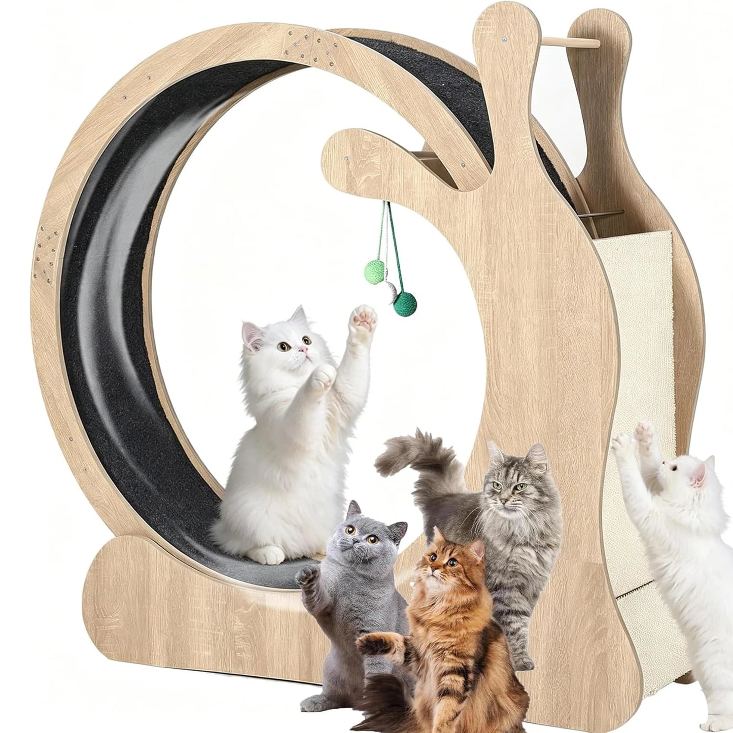 HiMISS Cat Exercise Wheel Indoor Fitness Treadmill For Cats