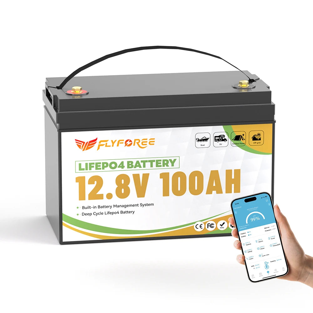 Fly Power LiFePO4 12V Battery Pack 100Ah 300Ah for RVs