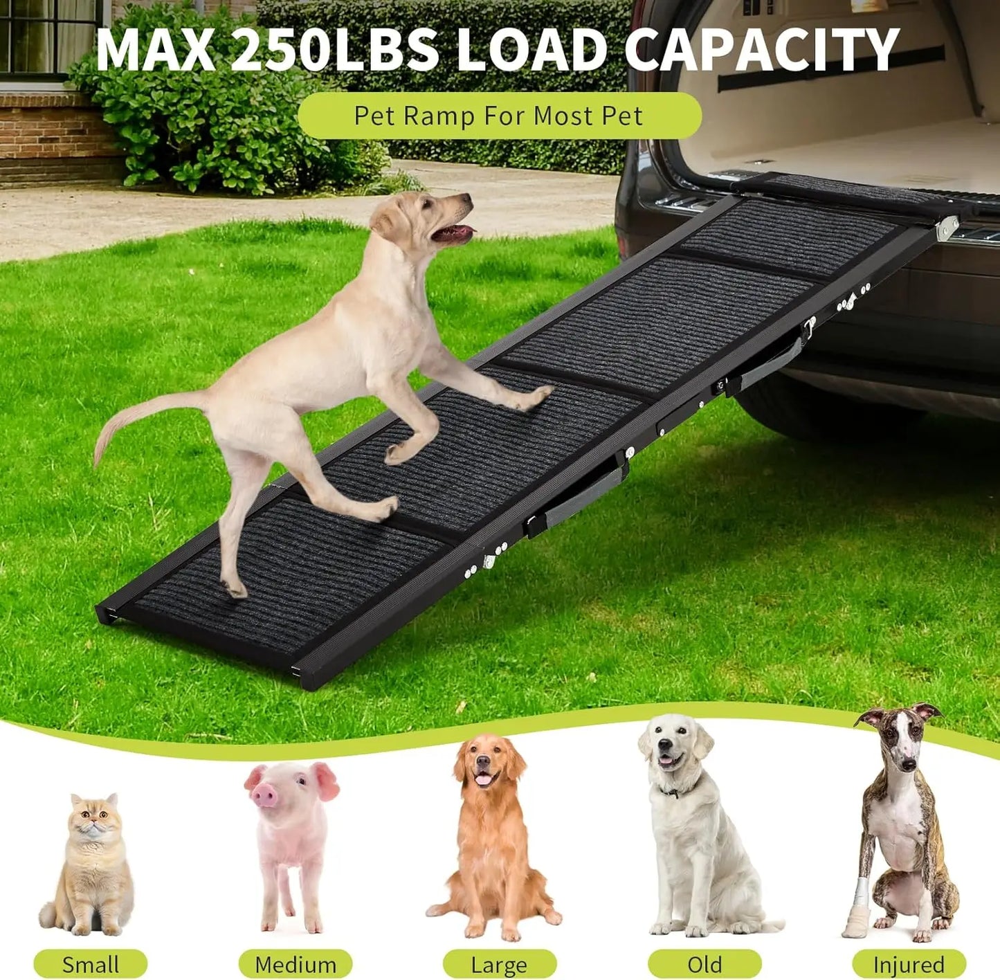 TWISTER.CK Quad Fold Dog Ramp for SUVs and Trucks