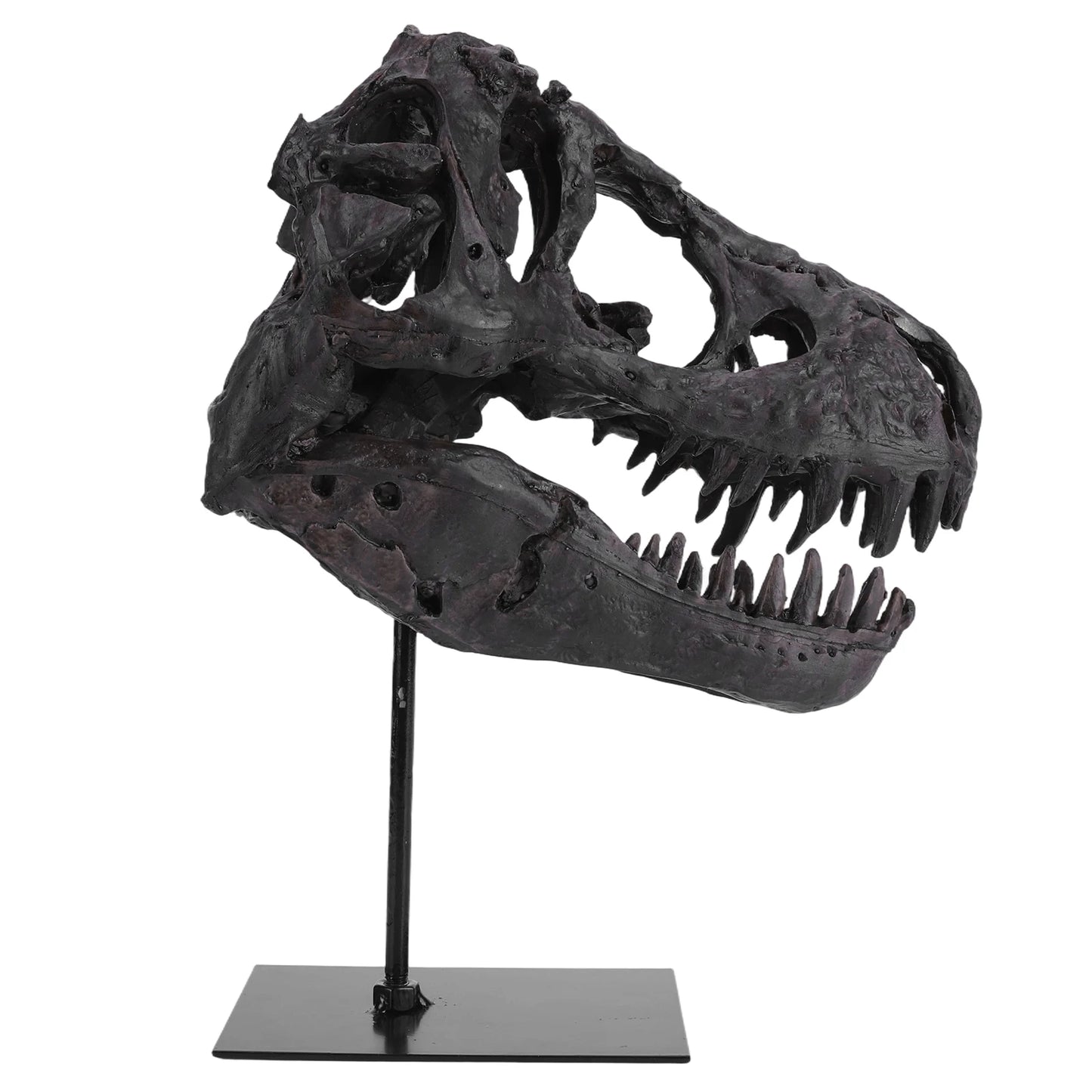 Dinosaur Skull Statue Resin Replica Head Sculptures with Bracket Skull Sculptures Gift for Kids and Adults