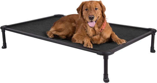 Elevated Chew Proof Dog Bed With Breathable Mesh For Outdoors
