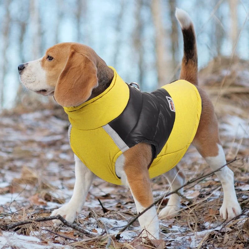 Padded Winter Dog Coat Vest With Zipper Waterproof