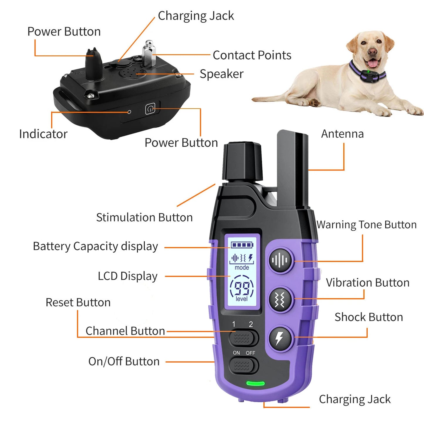 WXRPET 3300ft Electric Dog Training Collar Remote Control