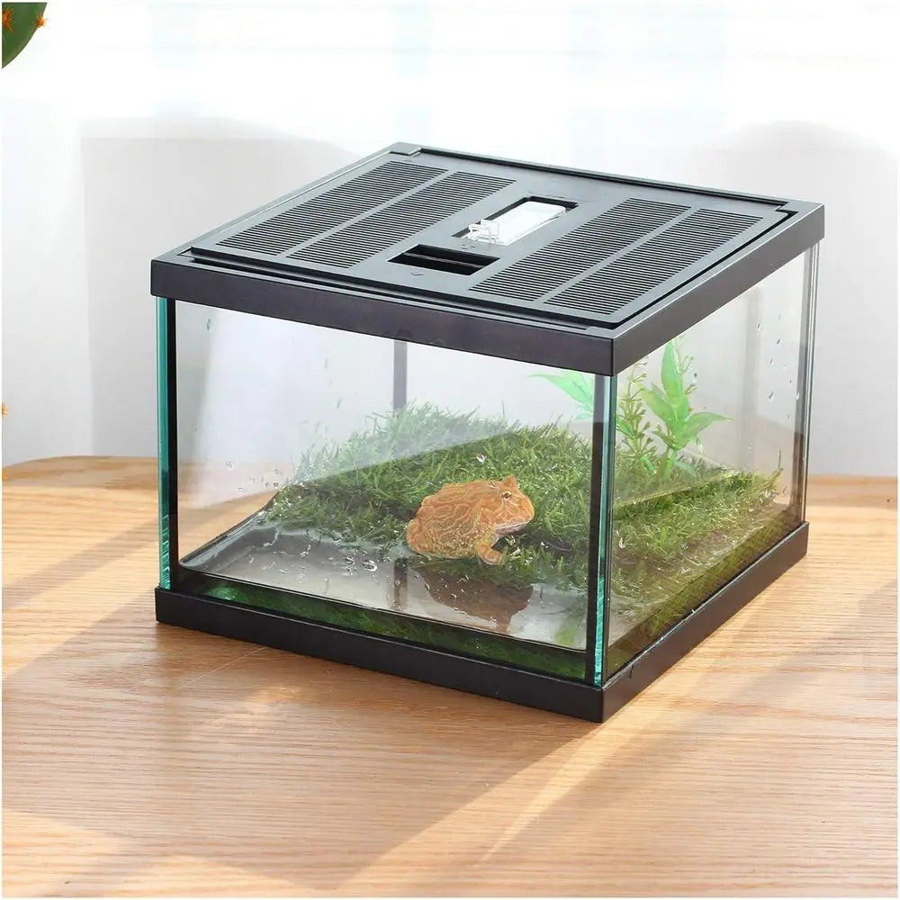 Compact Glass Terrarium Kit for Tadpoles Amphibians Insects Praying Mantises