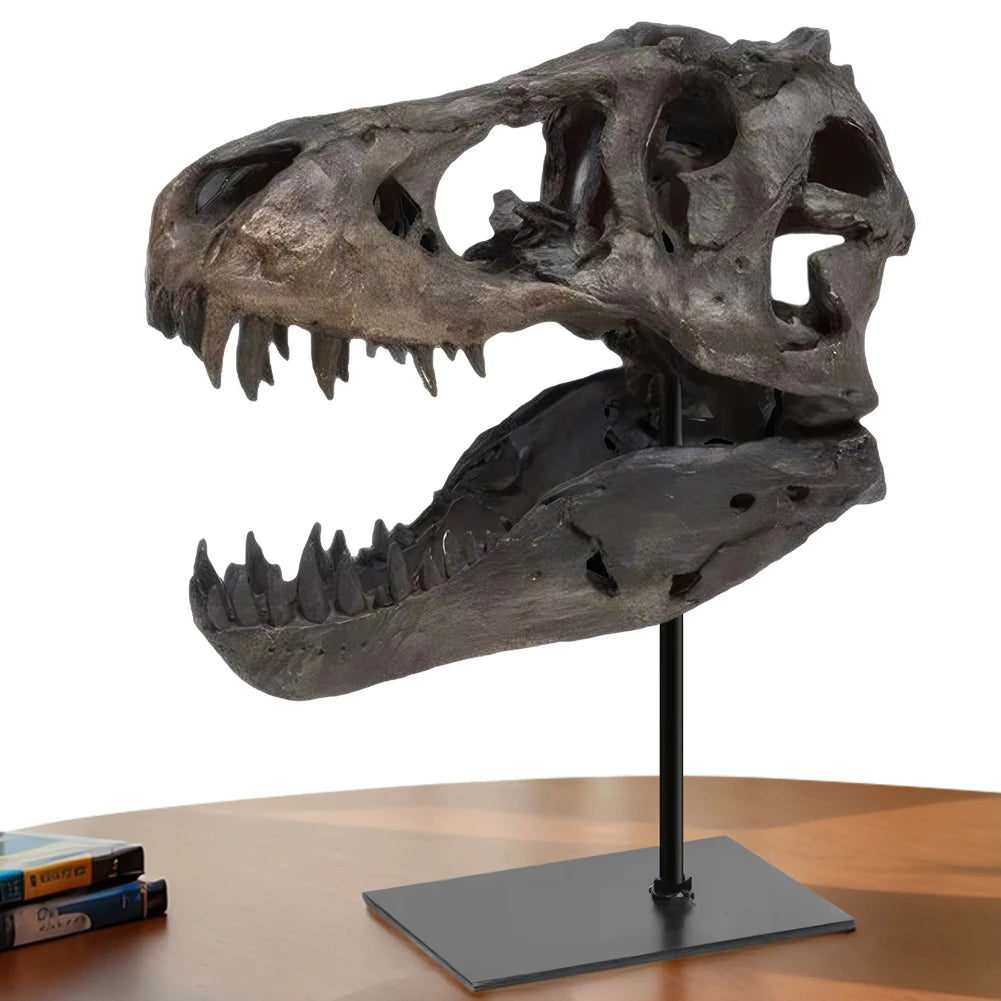 Dinosaur Skull Statue Resin Replica Head Sculptures with Bracket Skull Sculptures Gift for Kids and Adults