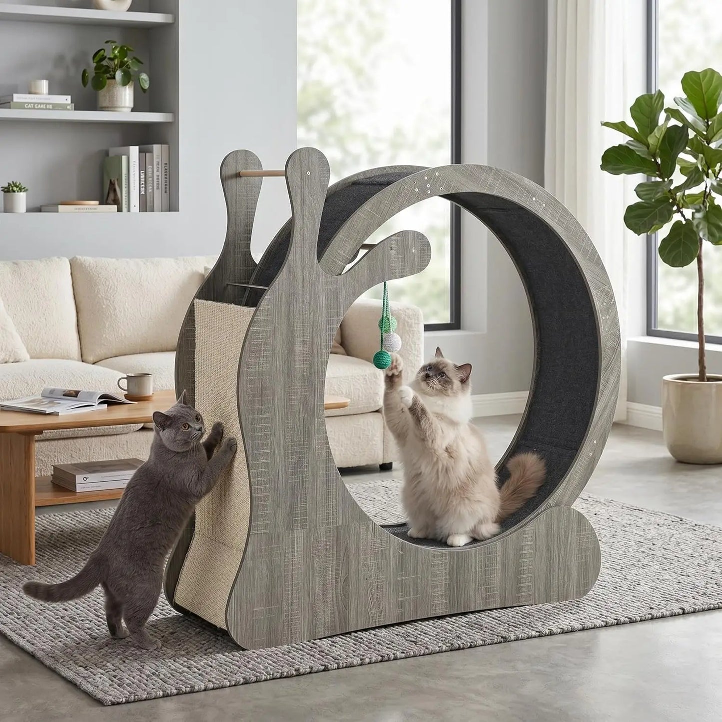 HiMISS Cat Exercise Wheel Indoor Fitness Treadmill For Cats
