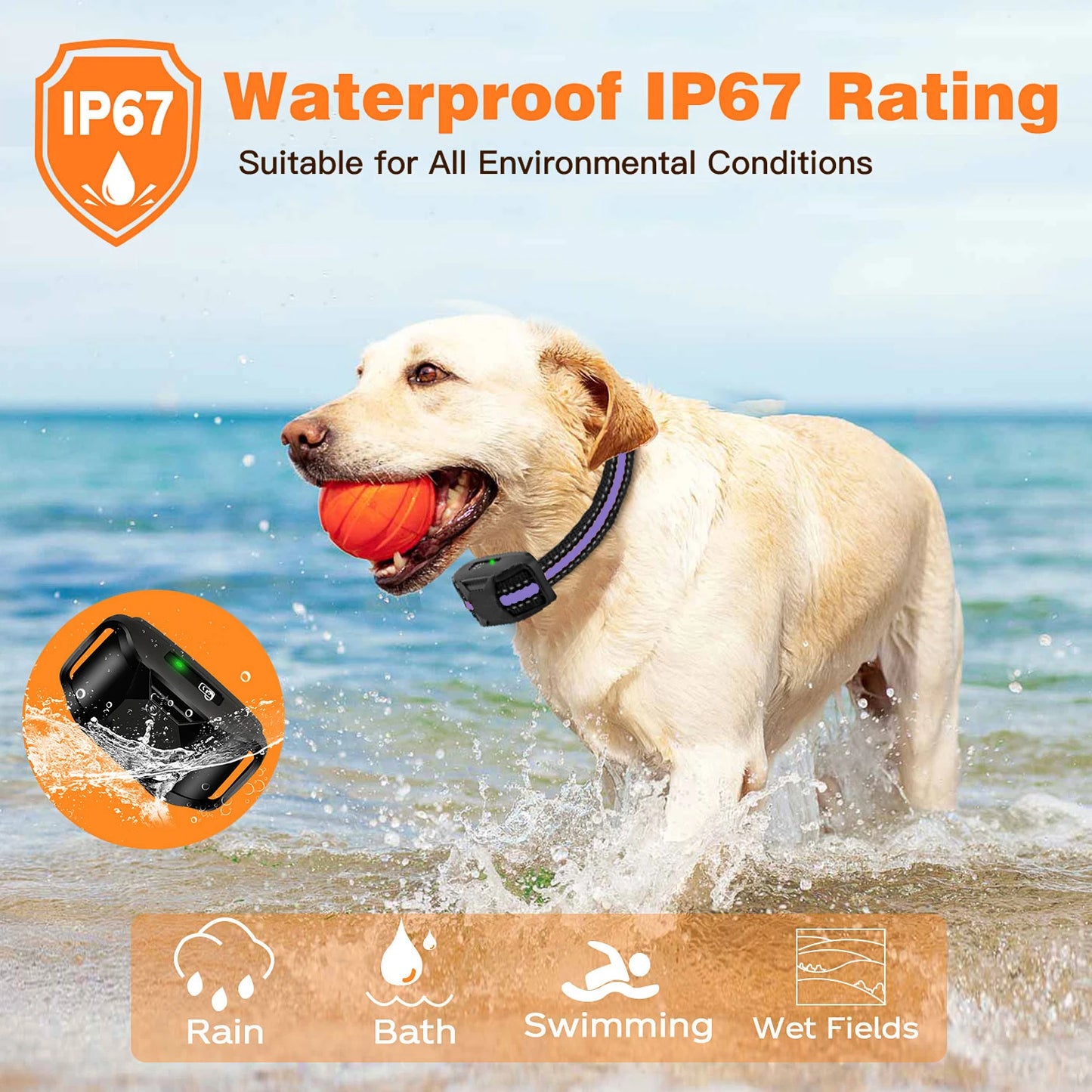 WXRPET 3300ft Electric Dog Training Collar Remote Control