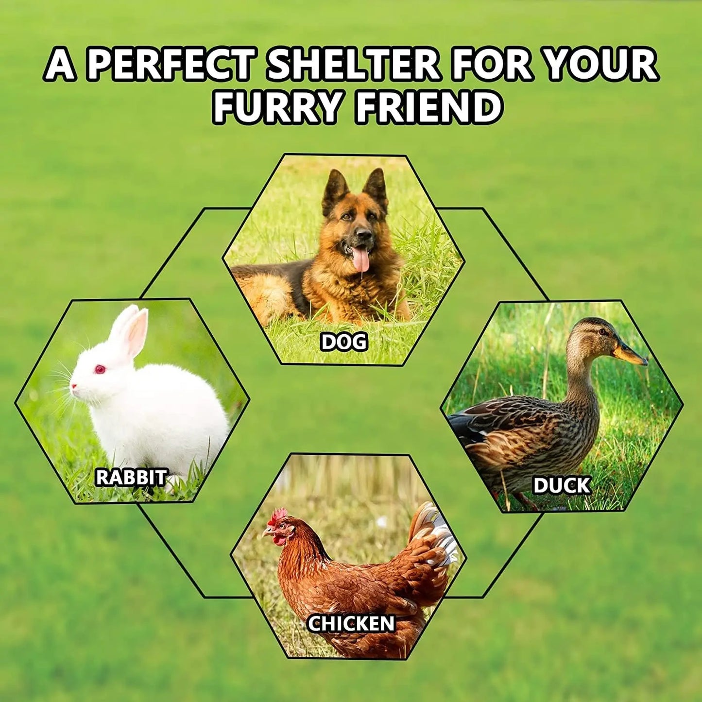 Outdoor Dog Kennel With Roof Galvanized Chain Link UV Cover And Lock