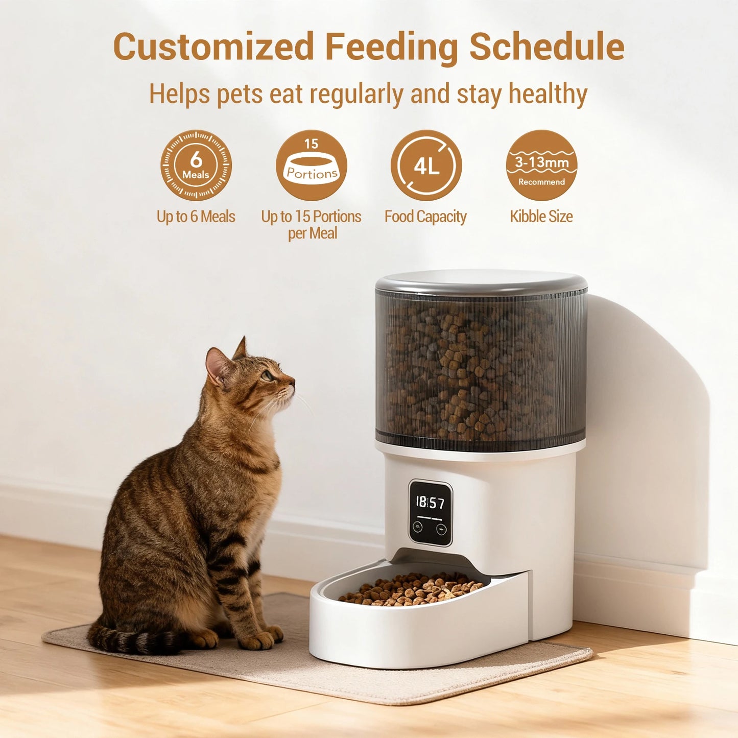 HiMISS Programmable Pet Feeder For Dogs And Cats With Timer