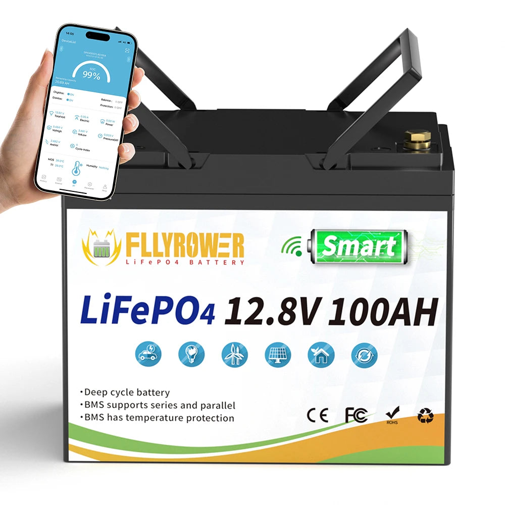 Fly Power LiFePO4 12V Battery Pack 100Ah 300Ah for RVs