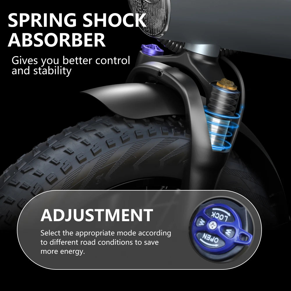 HX Q3 2000W Electric Bike 48V 20Ah Fat Tire OffRoad