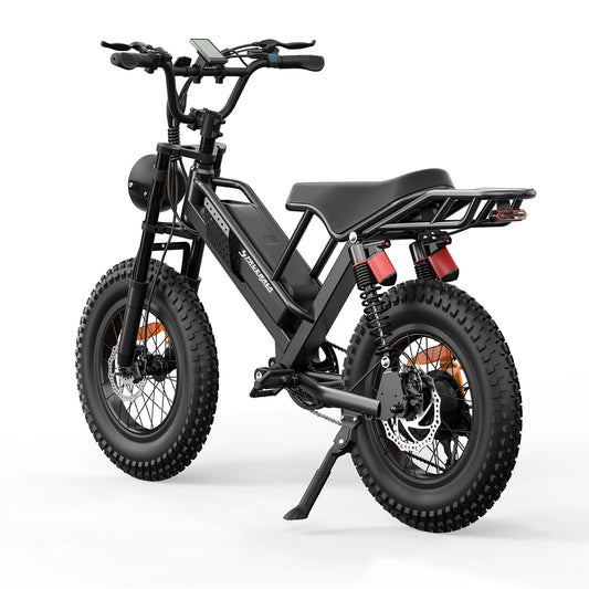 EILLEO Spacewalk Mountain Electric Bike 750W Peak Motor