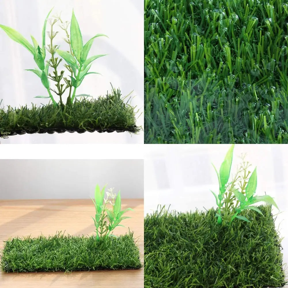 Compact Glass Terrarium Kit for Tadpoles Amphibians Insects Praying Mantises