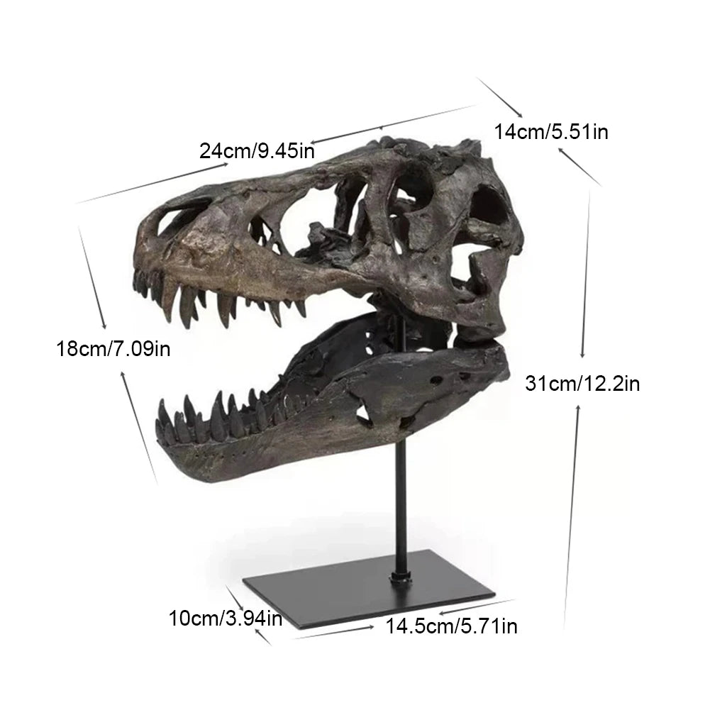 Dinosaur Skull Statue Resin Replica Head Sculptures with Bracket Skull Sculptures Gift for Kids and Adults
