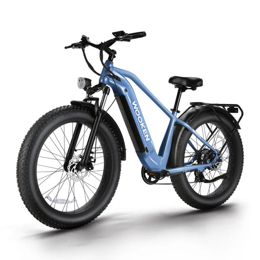 AMAK Electric Bike With 1500W Peak Motor And 48V Battery