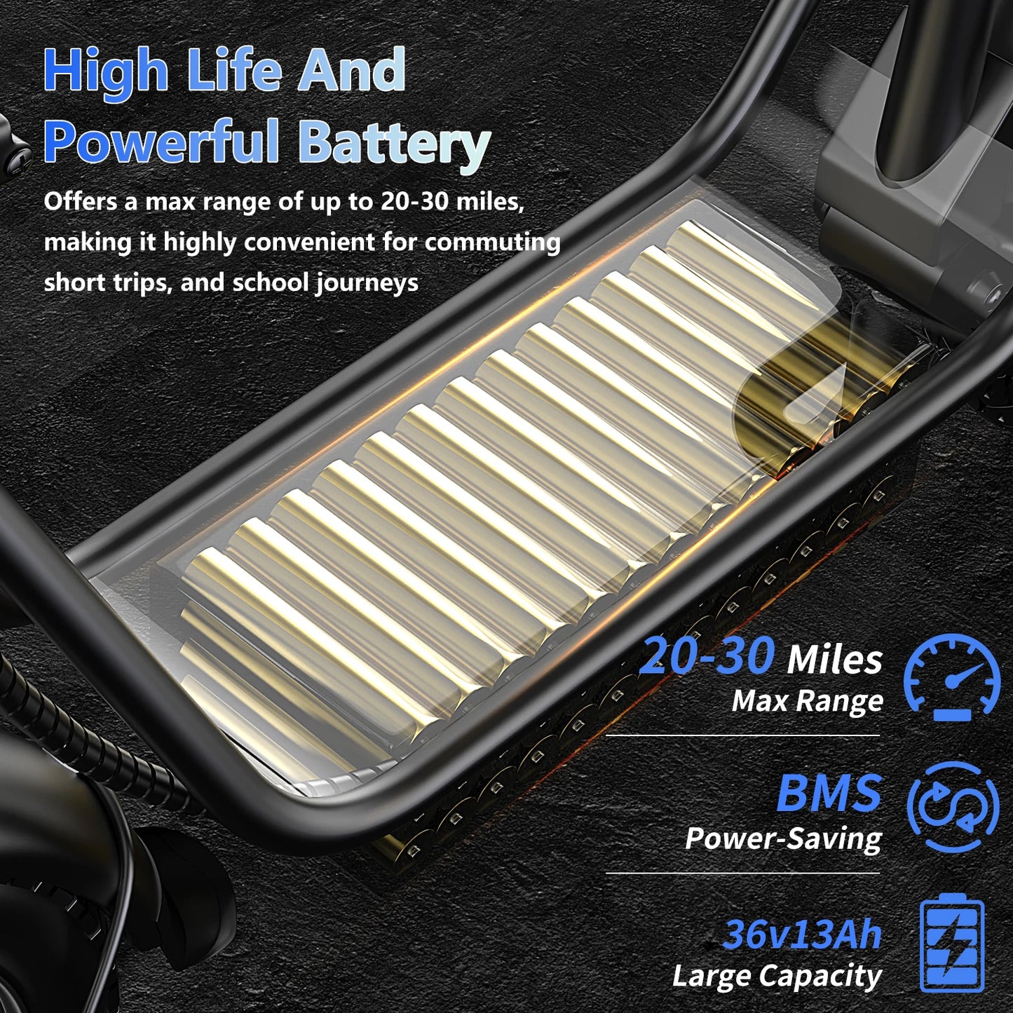 Terrosor Foldable Electric Scooter 650W 36V Battery