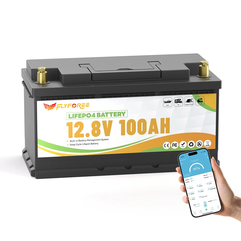 Fly Power LiFePO4 12V Battery Pack 100Ah 300Ah for RVs