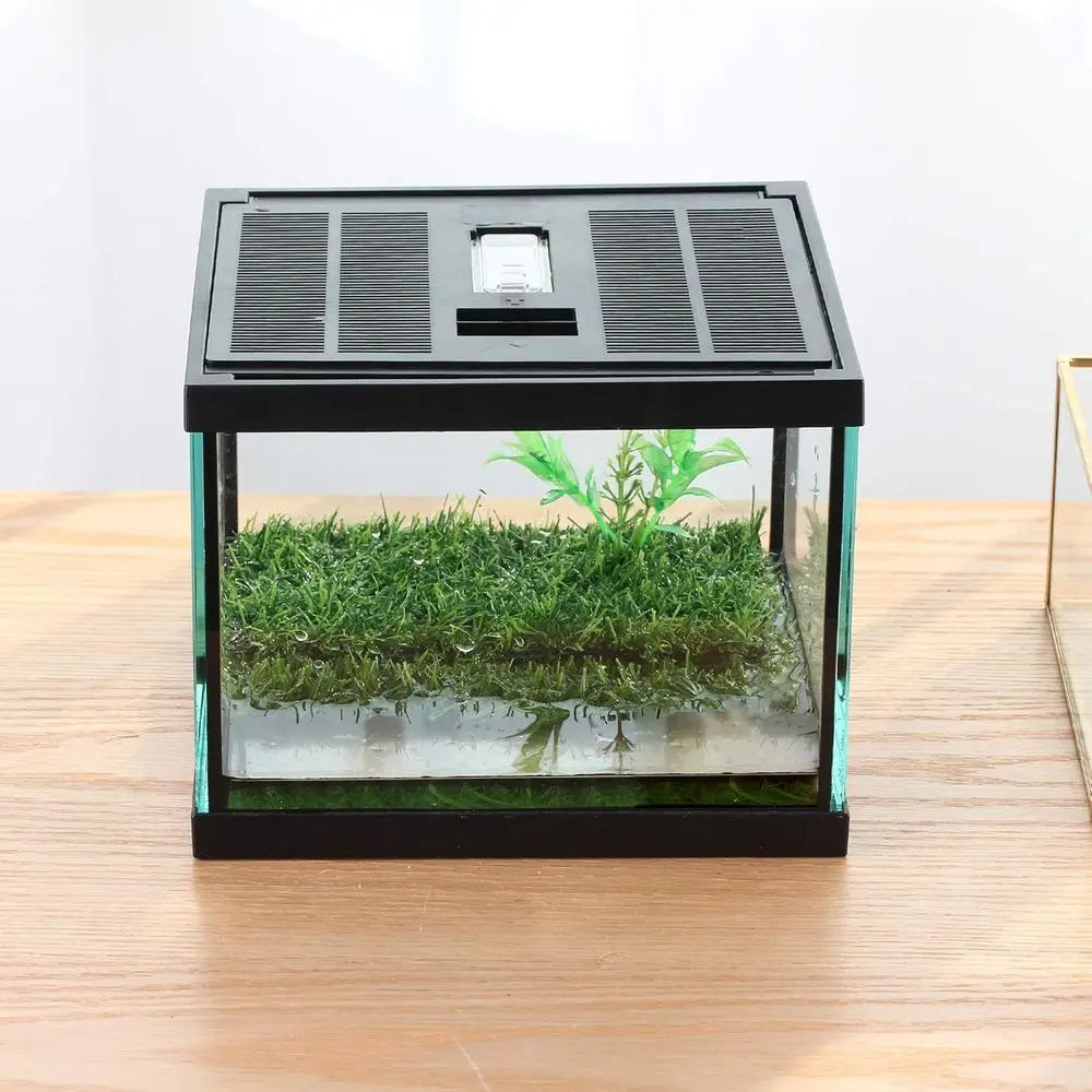Compact Glass Terrarium Kit for Tadpoles Amphibians Insects Praying Mantises