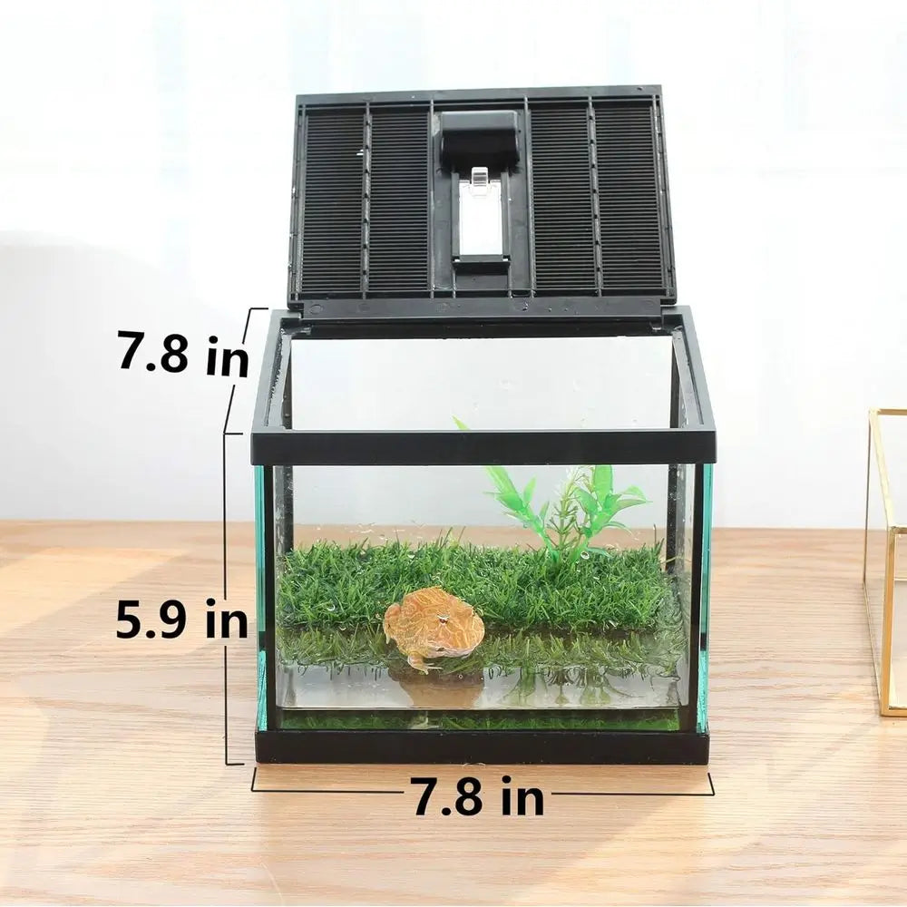Compact Glass Terrarium Kit for Tadpoles Amphibians Insects Praying Mantises
