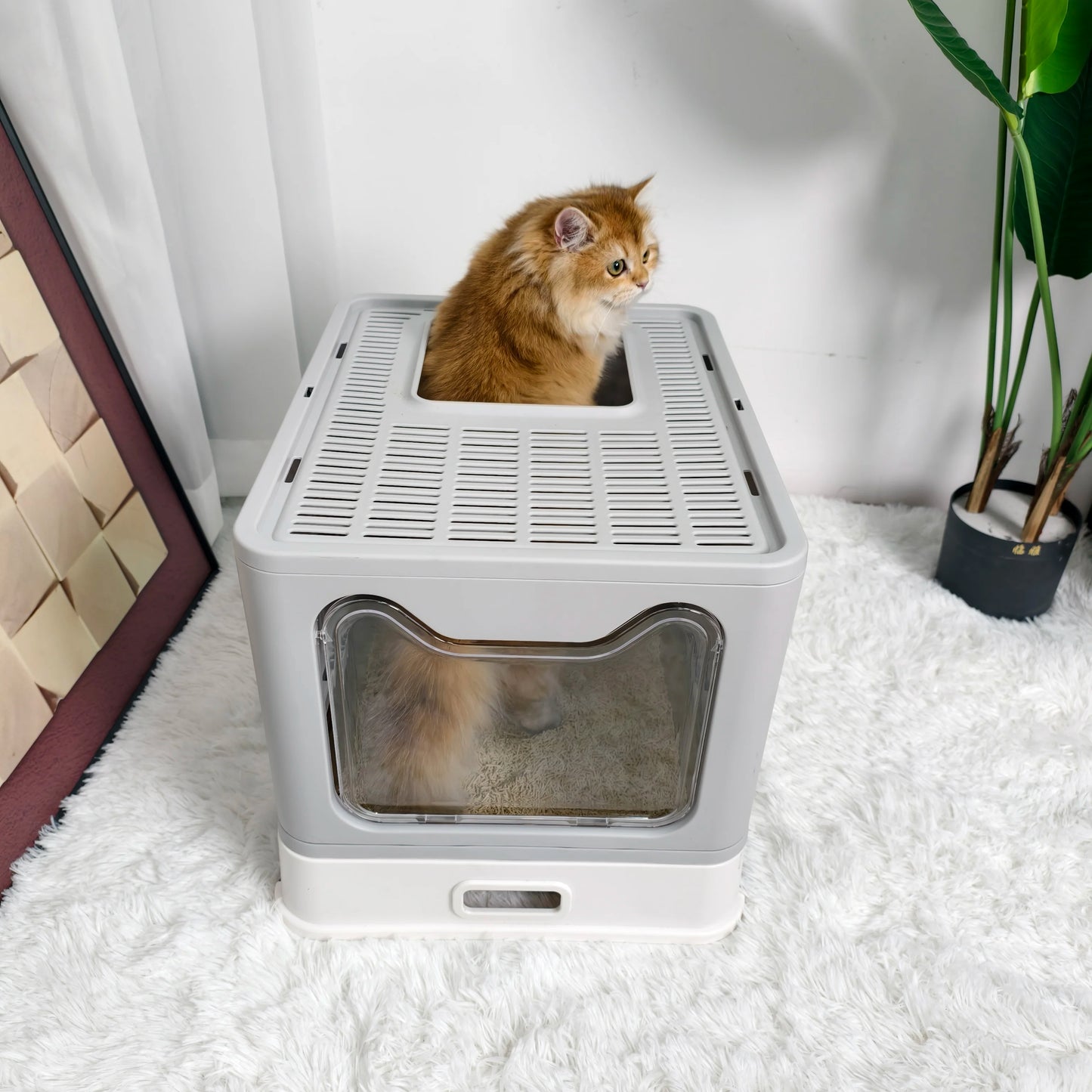 Totally Enclosed Cat Litter Box With Front Entry And Scoop