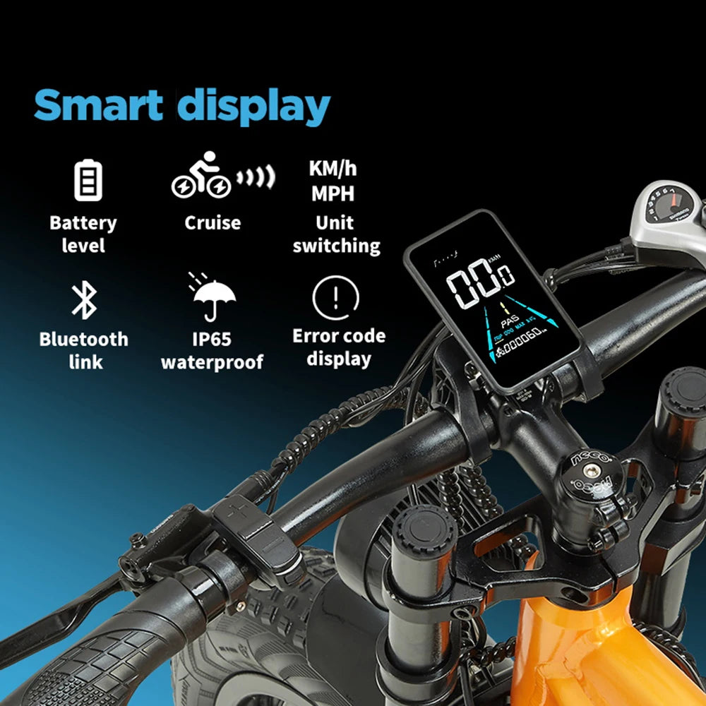 Randride Electric Mountain Ebike 1000W 48V 20Ah Dual Motors