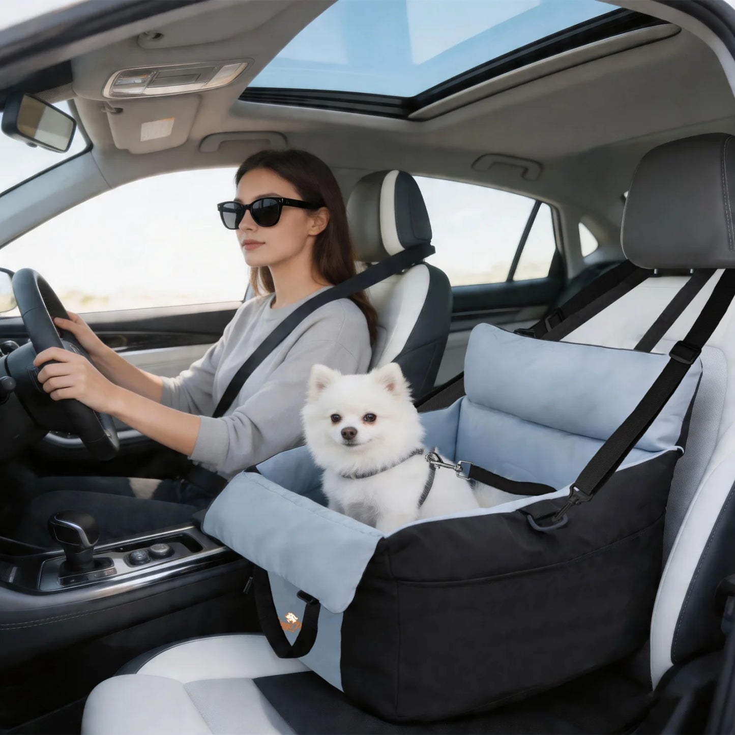 BINGOPAW Dog Car Seat For Dogs Booster With Safety Belt
