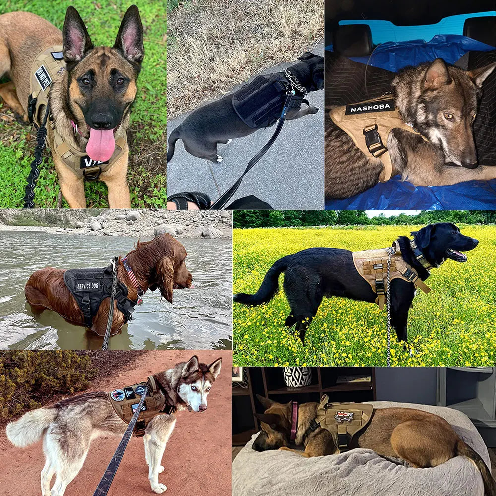 PETRAVELCN Nylon Vest Harness And Leash Set For Dogs