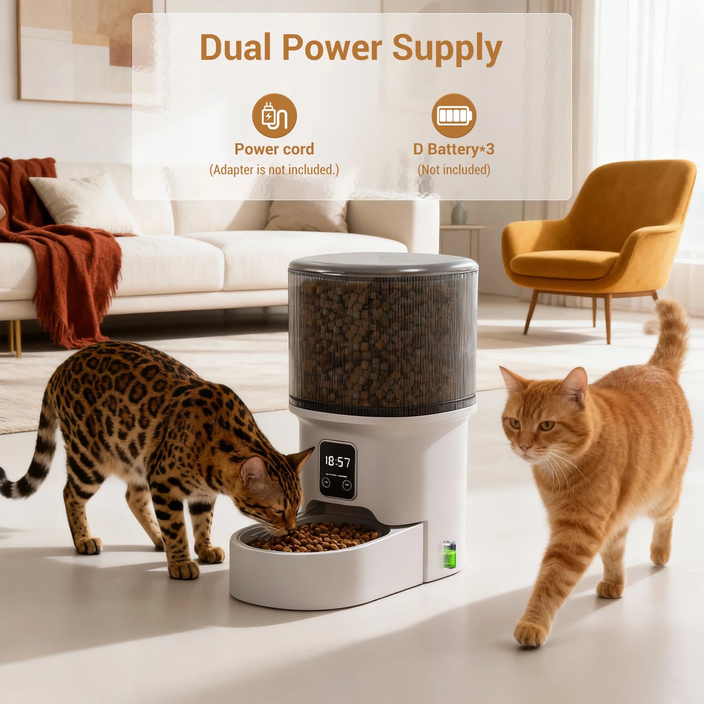 HiMISS Programmable Pet Feeder For Dogs And Cats With Timer
