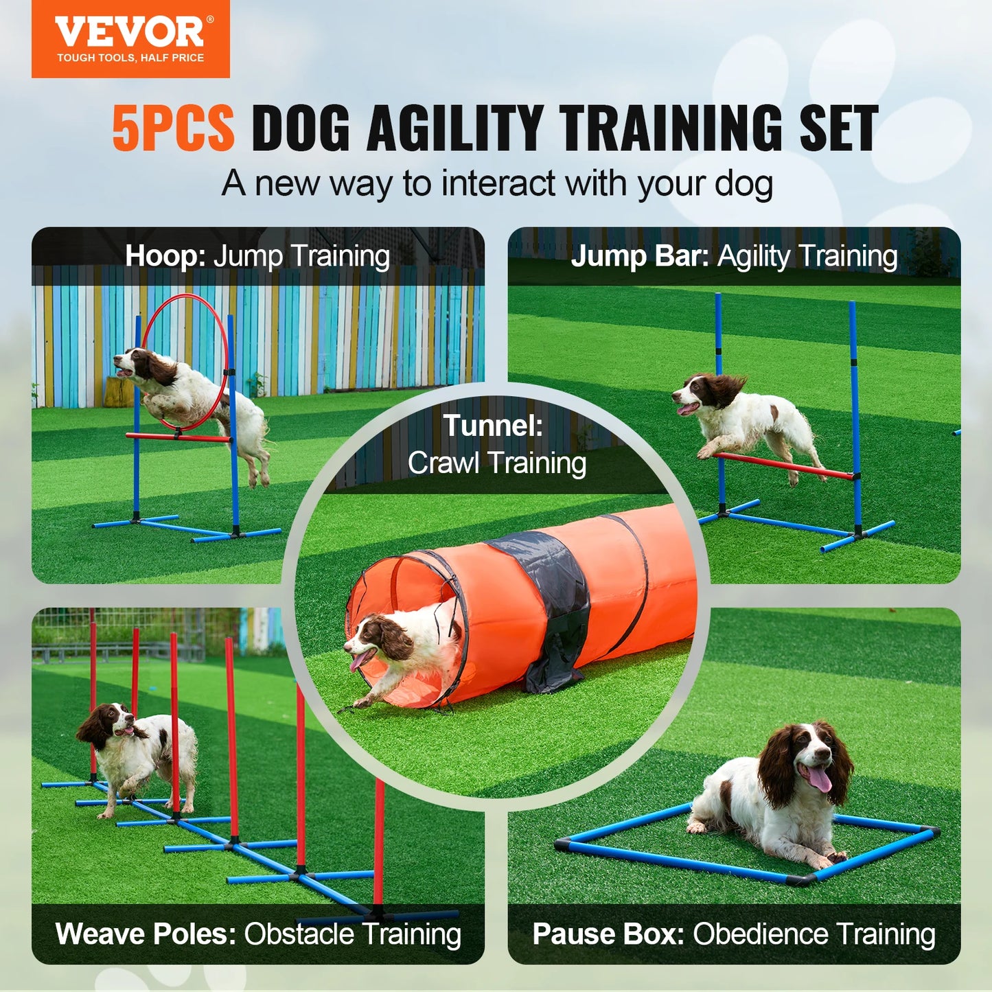 Dog Agility Training Equipment Kit 5Piece Set With Adjustable Hurdles