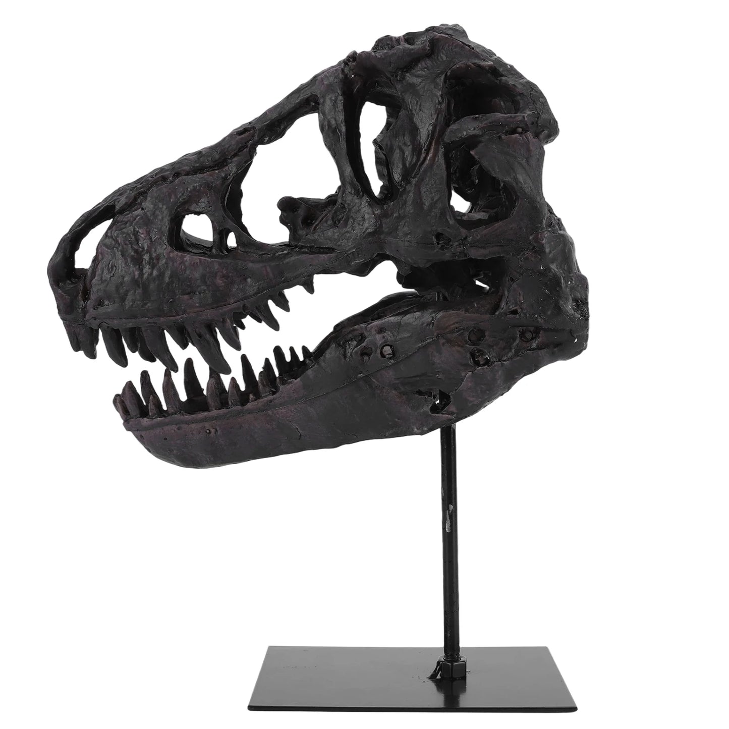 Dinosaur Skull Statue Resin Replica Head Sculptures with Bracket Skull Sculptures Gift for Kids and Adults