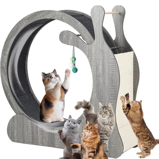 HiMISS Cat Exercise Wheel Indoor Fitness Treadmill For Cats
