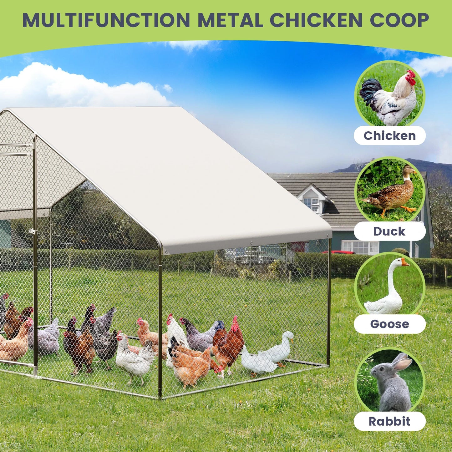 HiMISS Heavy Duty Metal Chicken Coop Walk-In Poultry Cage