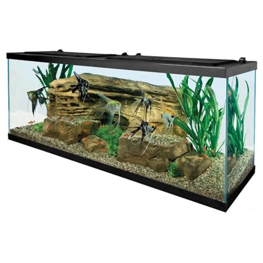 Glass LED Aquarium Kit All In One Setup Easy Install
