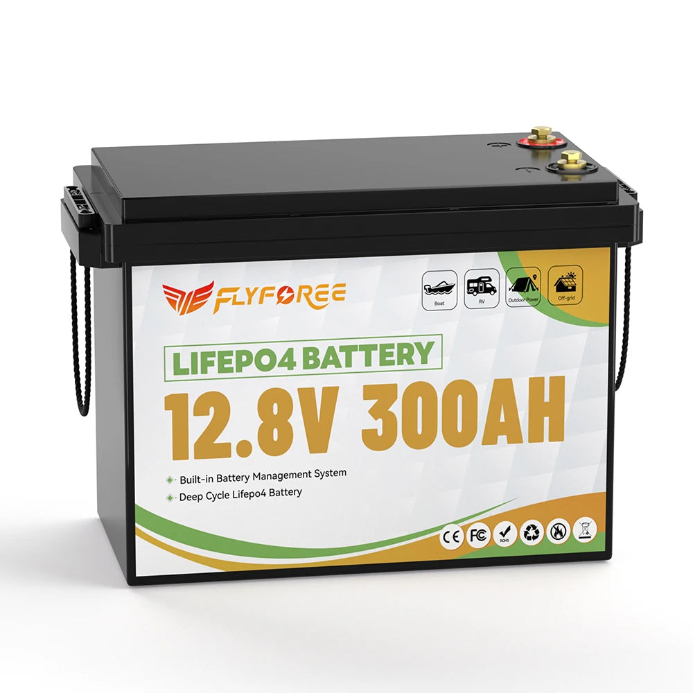 Fly Power LiFePO4 12V Battery Pack 100Ah 300Ah for RVs